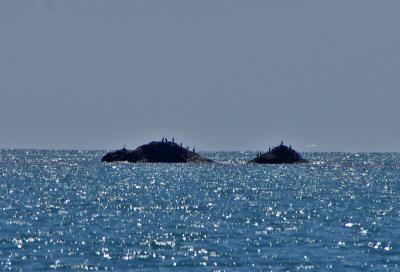 Прикрепленное изображение: IMGP6337.jpg